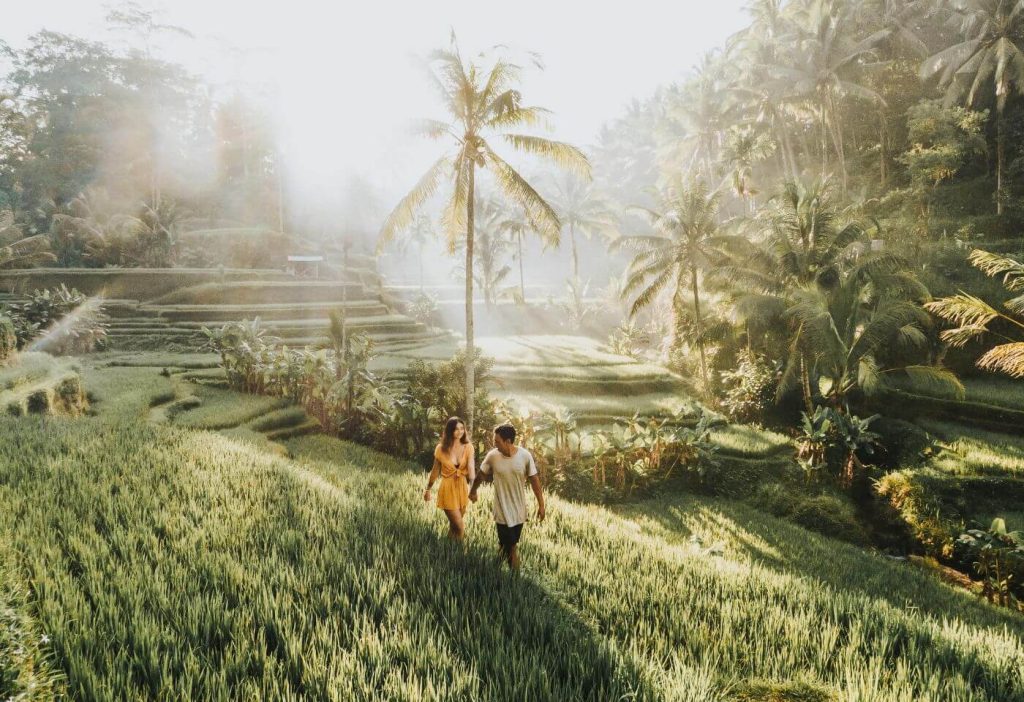 Tegalalang rice terrace in Ubud, a popular stop on a Bali private driver day tour